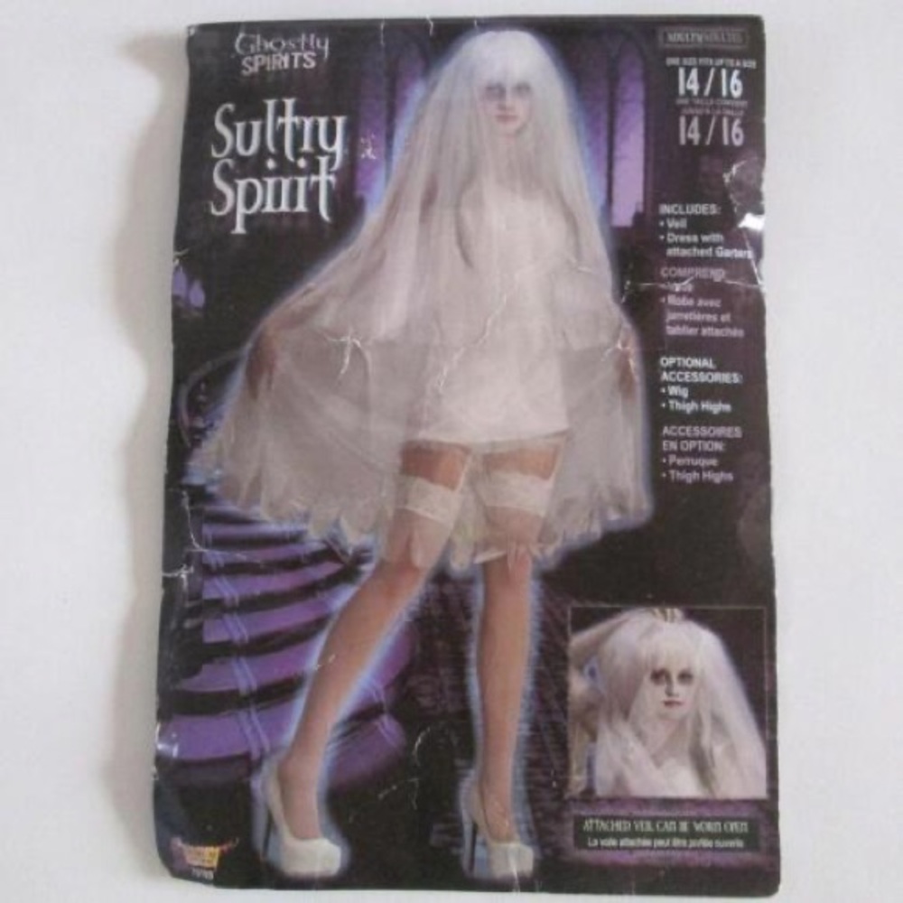 Nwt sultry spirit ghost costume!!😀